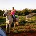 Tammy Bowden - Facebook
