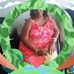 Tammy Bowden - Facebook