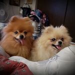 Tammy Bowling - @useyourownwords69 - Instagram
