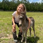 Tammy Bowling - @hiddenpinesminiaturehorses - Instagram