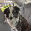 Tammy Bowling - @tammy.bowling97 - TikTok