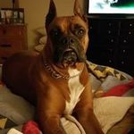 Tammy Bowser - @miltonchamp2 - Instagram