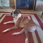 Tammy Bowser - @bowsertammy - Instagram