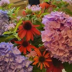 Tammy Sutheard Bowser - @tammy.s.bowser - Instagram