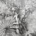 Tammy Boyer - Facebook
