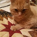 Tammy Boyer - @calmang00 - Instagram