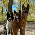 Tammy Boyer-Lewis - @tammy_lewis36 - Instagram