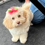 Tammy-Boyer Skinner Novitsky - @tammyboyernovitsky - Instagram