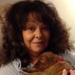 Tammy Moulton Boyington - @redbuggy59 - Instagram