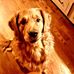 Tammy Boyles - Facebook