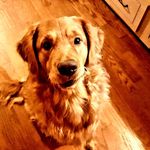 Tammy Boyles - @tamjb111 - Instagram