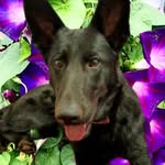 Tammy Boyles Curtis - @tammylcc - Instagram