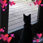 Tammy Boyles Kibler - @tkibler2013 - Instagram