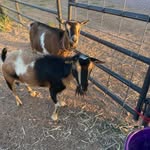Tammy Boynton - @tammybeauholly - Instagram