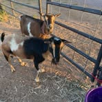 Tammy Boynton - Facebook