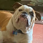Tammy Brackett - @tozbee1 - Instagram