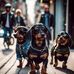 Tammy Brackett - Facebook