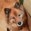 tammybrackett2 - @tammybrackett2 - TikTok