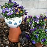 Tammy Brockman - @tammy.brockman - Instagram