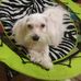 Tammy Braddock - Facebook