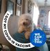 Tammy Braddock - Facebook