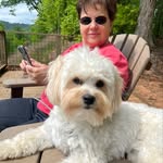 Tammy Bradshaw - @tammy.bradshaw.965 - Instagram