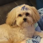 Tammy Brady - @tammy.brady.1401 - Instagram