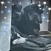 Tammy Helle - @tammy.brakel - TikTok