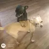 Tammy - @tammybrakewest - TikTok