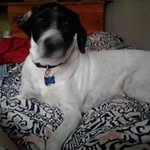 Tammy Branham - @tamarab1130 - Instagram