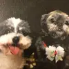 tammybranham611 - @tammybranham611 - TikTok
