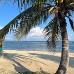 Tammy Bratcher Newton - @newton.tammy - Instagram