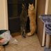 Tami Brawner - Facebook