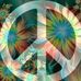 Tammy Brazee - Facebook