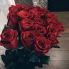 Tammy Albrecht - @tammyalbrecht_3754 - TikTok