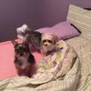 Tammy - @tammybreen292 - TikTok