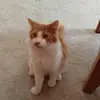 Tammy Breeden - @tammy.breeden1 - TikTok