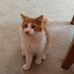 Tammy Breeden - Facebook