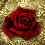 Tammy Breeden Talley - @tammy_breeden2000 - Instagram