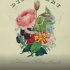 tammybreeden80 - @tammybreeden80 - TikTok