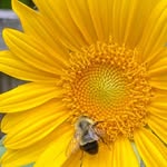 Tammy Breen - @tammy.breen.7 - Instagram