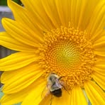 Tammy Breen - Facebook