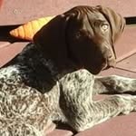 Tammy Bretz Bartsch - @tbartsch718 - Instagram