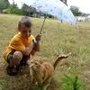 tammybretzlaff49 - @tammybretzlaff49 - TikTok