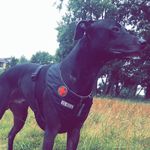 Tammy Brindle 💖 - @tammyxpeterson - Instagram