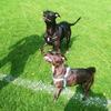 Tammy Brindle - @tammybrindle1081 - TikTok