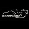 Tammy Britton - @equibalancer.com - TikTok