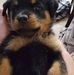 Tammy Britton - Facebook