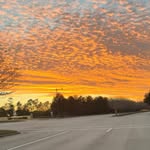 Tammy Bruner - @tambpak - Instagram