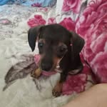 Tammy Bruner - @tammybrunerdownum - Instagram